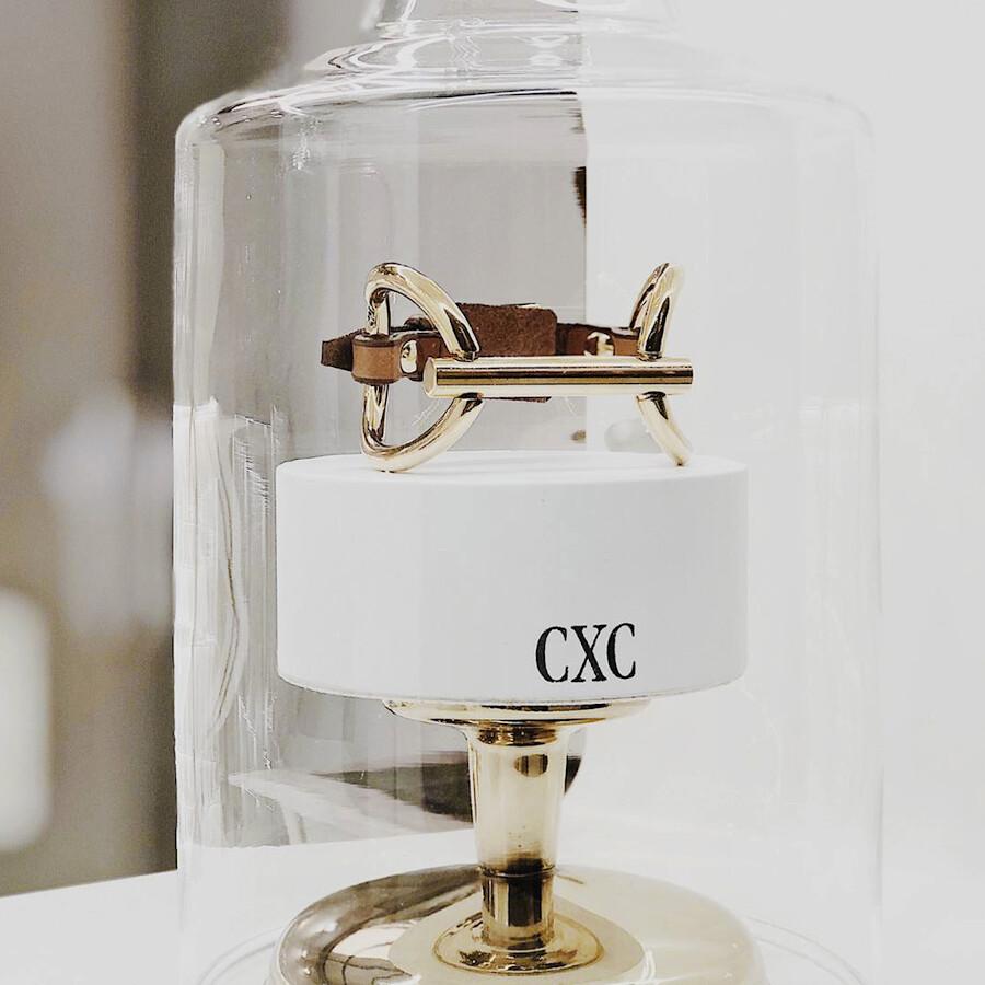 Foto de Detalle de Pulsera en baño de Oro con modelo de CXC